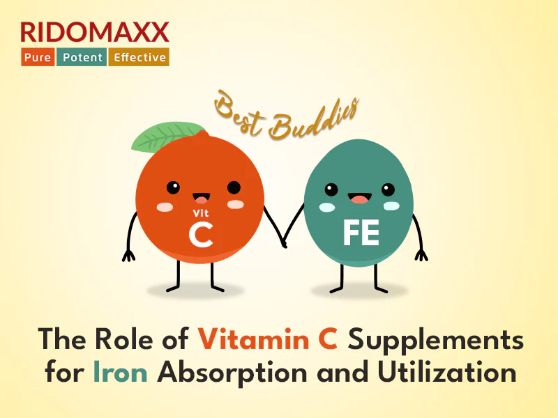 iron absorption summary infographic vitamin c